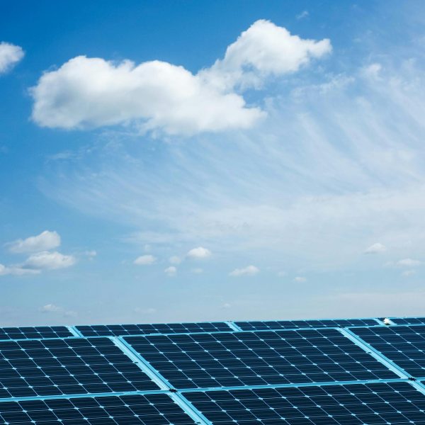 pexels-magic-k-24827758-6729421